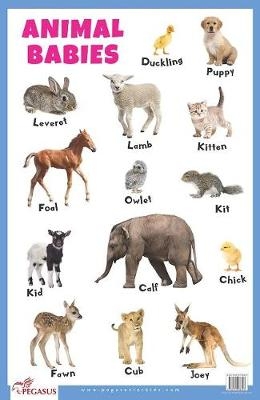 Animal Babies Educational Chart -  Pegasus