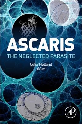 Ascaris - 