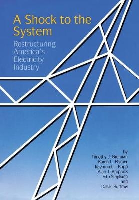 A Shock to the System - Timothy J. Brennan