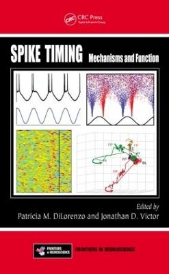 Spike Timing - 