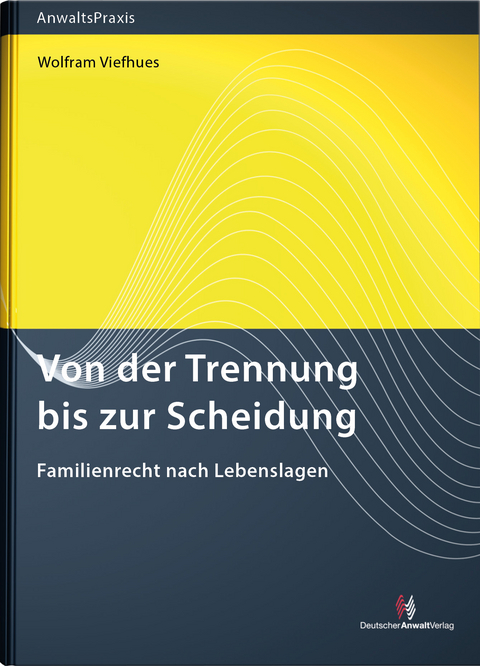 Von der Trennung bis zur Scheidung - Wolfram Viefhues