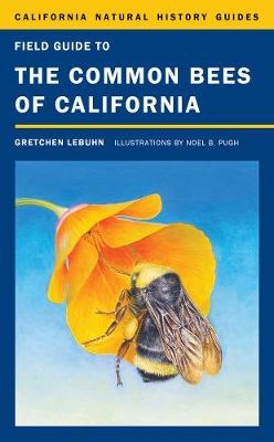 Field Guide to the Common Bees of California - Gretchen LeBuhn