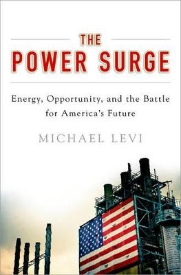 The Power Surge - Michael Levi