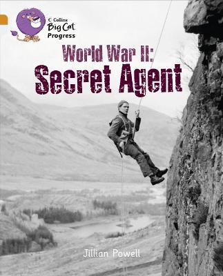 World War II: Secret Agent - Jillian Powell