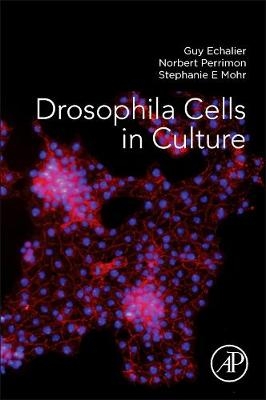Drosophila Cells in Culture - Guy Echalier, Norbert Perrimon, Stephanie E Mohr