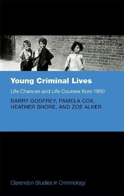 Young Criminal Lives: Life Courses and Life Chances from 1850 - Barry Godfrey, Pamela Cox, Heather Shore, Zoe Alker