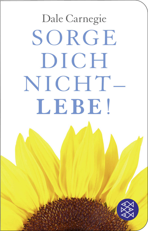 Sorge dich nicht - lebe! - Dale Carnegie