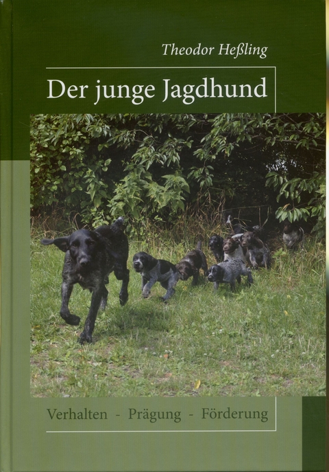 Der junge Jagdhund - Theodor Heßling