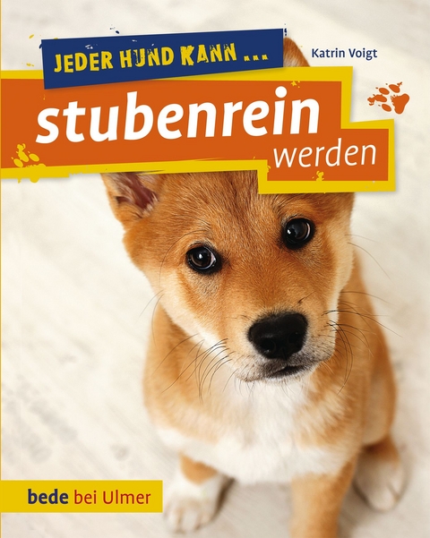 Jeder Hund kann stubenrein werden - Katrin Voigt