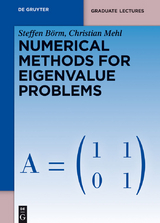 Numerical Methods for Eigenvalue Problems - Steffen Börm, Christian Mehl