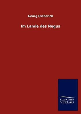 Im Landes des Negus - Georg Escherich