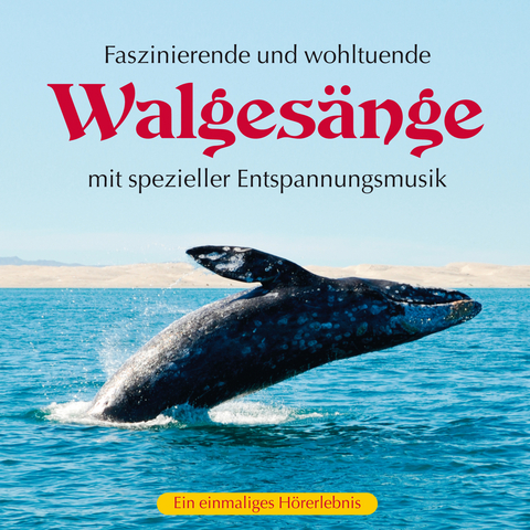 Walgesänge - 