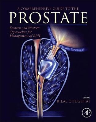 A Comprehensive Guide to the Prostate - 