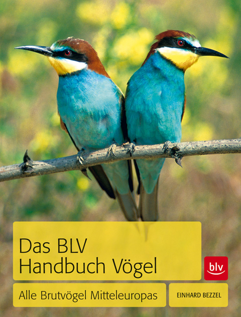 Das BLV Handbuch Vögel - Einhard Bezzel