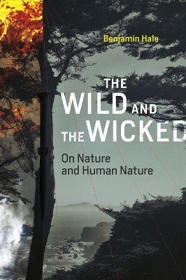 The Wild and the Wicked - Benjamin Hale