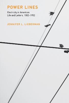 Power Lines - Jennifer L. Lieberman