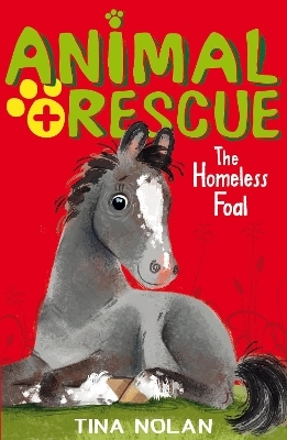 The Homeless Foal - Tina Nolan