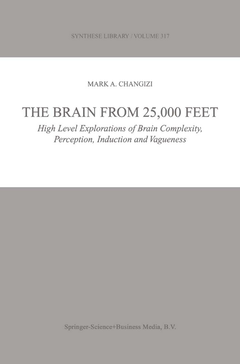 The Brain from 25,000 Feet - Mark A. Changizi