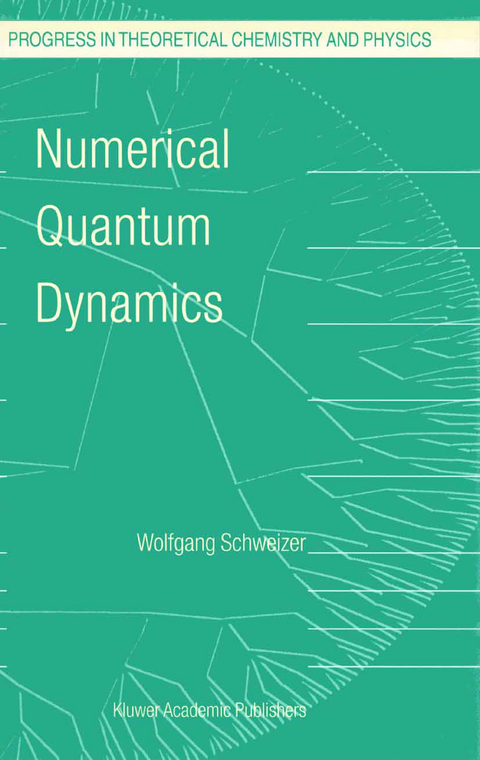 Numerical Quantum Dynamics - W. Schweizer