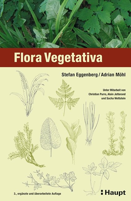 Flora Vegetativa - Stefan Eggenberg, Adrian Möhl