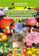 Altipiano Silano il Sottobosco - Egidio Bevilacqua