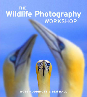 Wildlife Photography Workshop, The -  Hoddinott