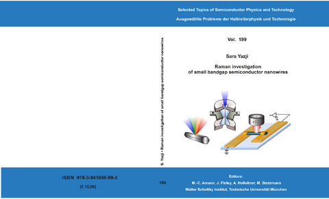 Raman investigation of small bandgap semiconductor nanowires - Sara Yazji