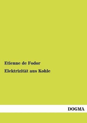 Elektrizität aus Kohle - Etienne De Fodor