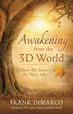 Awakening from the 3D World - Frank DeMarco