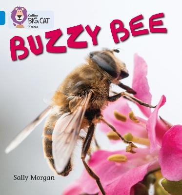 Buzzy Bees - Sally Morgan