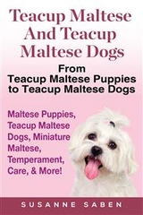 Teacup Maltese and Teacup Maltese Dogs - Susanne Saben