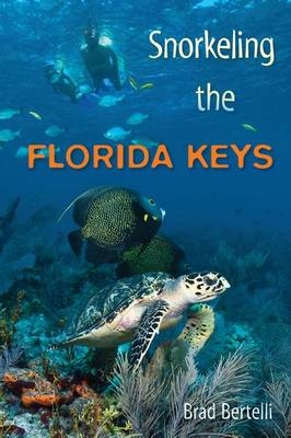 Snorkeling the Florida Keys - Brad Bertelli