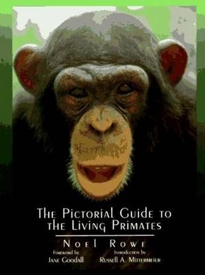 Pictorial Guide to the Living Primates - Noel Rowe