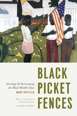 Black Picket Fences - Mary Pattillo