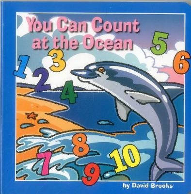 You Can Count at the Ocean - David Brooks