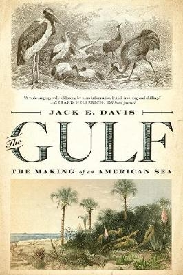 The Gulf - Jack E. Davis