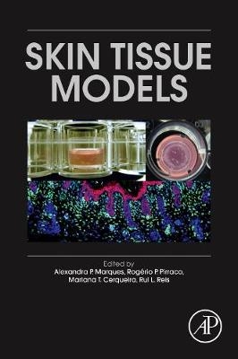 Skin Tissue Models - 
