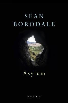Asylum - Sean Borodale