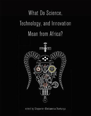 What Do Science, Technology, and Innovation Mean from Africa? - 