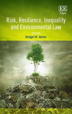 Risk, Resilience, Inequality and Environmental Law - 