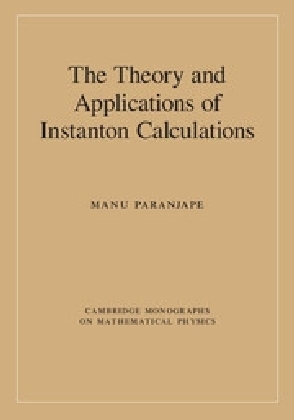 The Theory and Applications of Instanton Calculations - Manu Paranjape