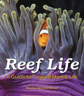 Reef Life: A Guide to Tropical Marine Life - Brandon Cole