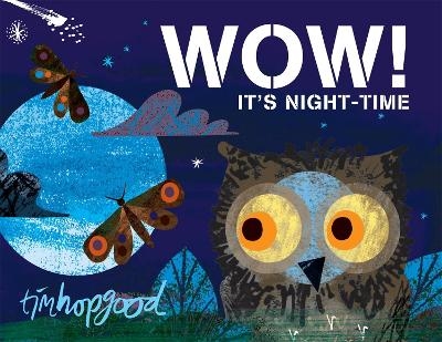 WOW! It's Night-time - Tim Hopgood