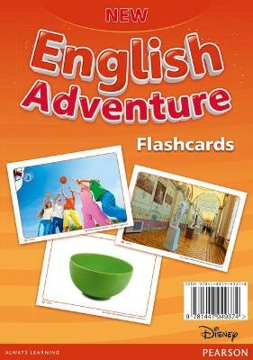 New English Adventure PL 3/GL 2 Flashcards