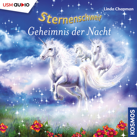 Sternenschweif (Folge 24) - Geheimnis der Nacht - Linda Chapman