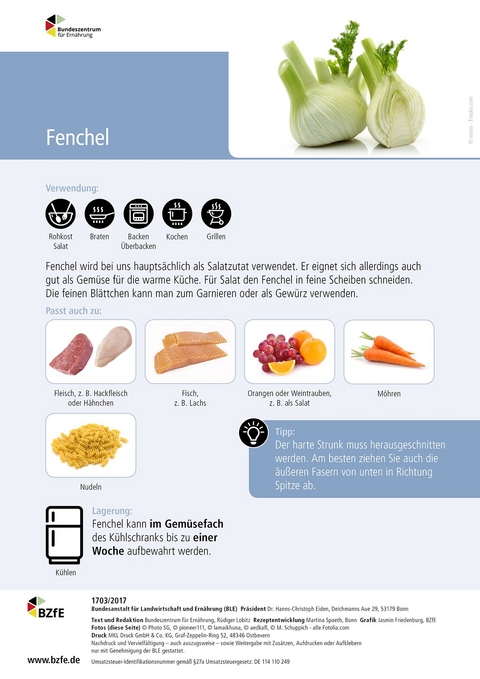 Lebensmittel-Infoblatt: Fenchel - Rüdiger Lobitz, Martina Spaeth