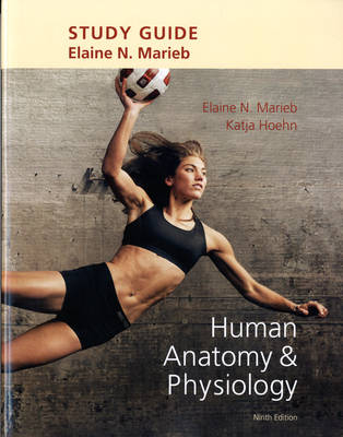 Study Guide for Human Anatomy & Physiology - Elaine N. Marieb, Katja Hoehn