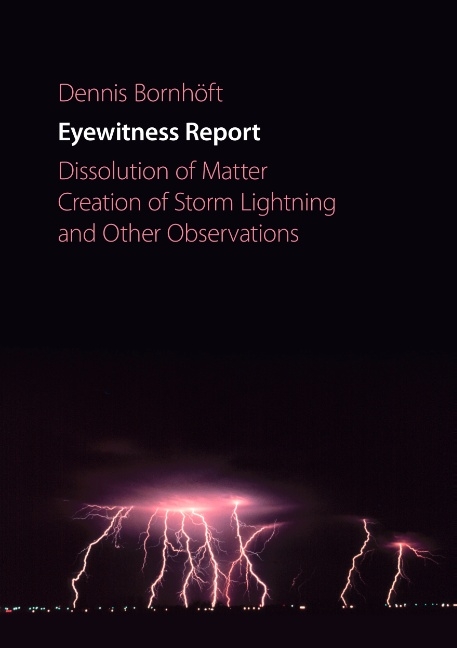 Eyewitness Report - Dennis Bornhöft