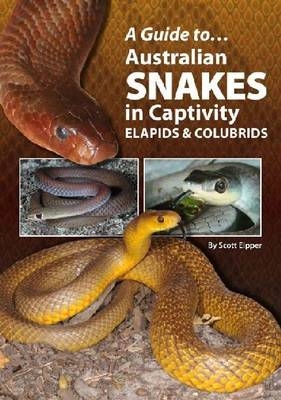 Australian Snakes In Captivity - Scott Eipper