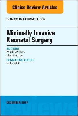 Minimally Invasive Neonatal Surgery, An Issue of Clinics in Perinatology - Hanmin Lee, Mark Wulkan